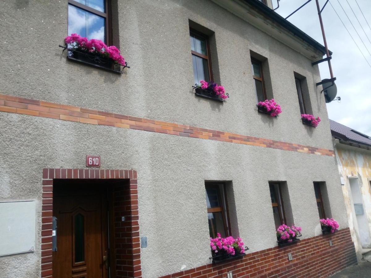 Apartman Albreit Jachymov Bagian luar foto